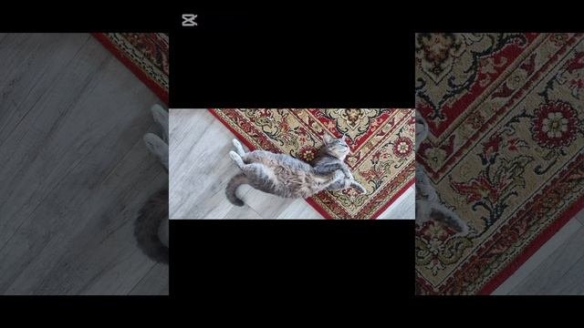 мои фотки😍