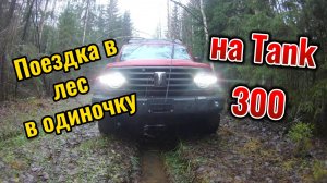 [OFFroad] Tank 300. Поездка в одиночку. Дружная горка - Вырица.