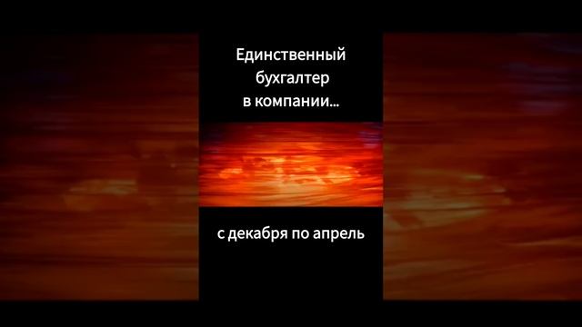 Как работает бухгалтер в одном лице с декабря по апрель