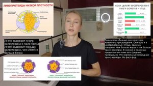 КУРИНАЯ КОЖА: МОЖНО ИЛИ НЕЛЬЗЯ? Калорийность куриной кожи. Повышенный холестерин: какие причины?