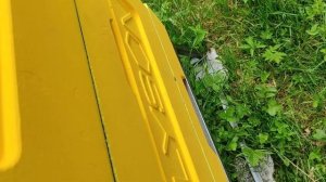 как развились пчелопакеты за две недели