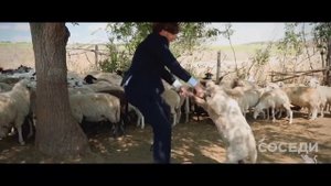 Молдавские сказки