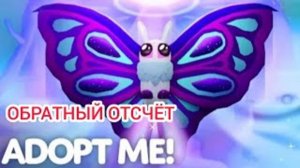 Эфир! Космический Пет Бабочка в Adopt Me 24 г. через.../Обратный отсчёт... [06.09.2024 г.] [Youtube]