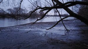 Что творится на Москва-реке Первая зимняя рыбалка по открытой воде