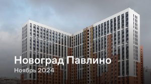 «Новоград Павлино» / Ноябрь 2024