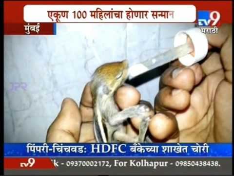 TV 9 Mumbai News 07 Jan 2016 03min 53sec 22 21pm смотреть онлайн