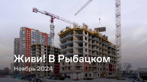 «Живи! В Рыбацком» / Ноябрь 2024