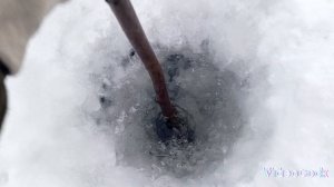 проверка тычек  .мне 05 или 5 ноль ну или просто ноль