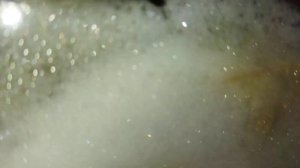 Стиральная машина Аристон 4,5 кг программа синтетика (8) 40° 800 оборотов