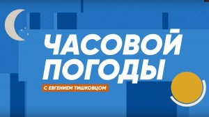 СТАВКА | Сводка с фронтов спецоперации на 2 декабря 2024 года