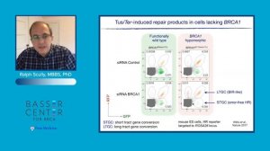 Interactions Between FANCM and BRCA1 at Stalled Replication Forks