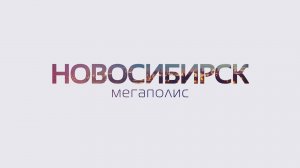 Как Новосибирск готовится к Новому году?