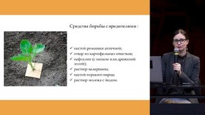 «Полезный капустный конвейер». Лекция агронома Марии Поляковой