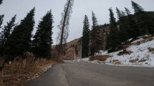 прогулка в горах #vlog #adventure #views #city #road #mountains #nature #fly #казахстан #рек #top