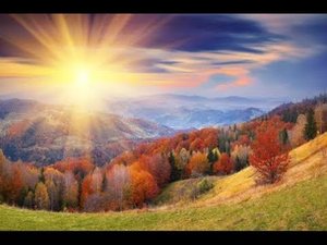 Луч солнца золотого.  A ray of the golden sun.