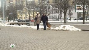 Сериал Возвращение Мухтара 2 Рогоносец