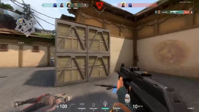 Valorant ace kox nutka