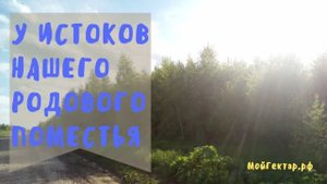 У истоков Родового поместья. Переезд из города, Зачем ПРП