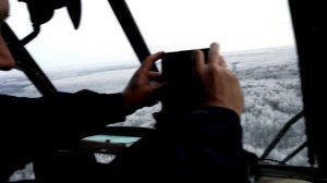 Обмороженная тайга