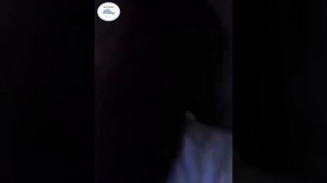 Бегство бедной девушки из брачного ада с хладнокровным генеральным директором