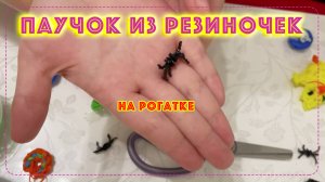 Паучок из резиночек на рогатке за минуту 🕷