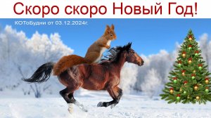 Кони и лошади, Муся и Буся, Лиса с морковкой или просто КОТоБудни от 03.12.2024г.