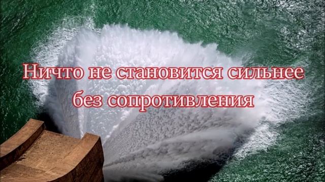 Стивен Фуртик | Афоризмы Которые Поражают Своей Мудростью | Вдохновляющие Цитаты смотреть онлайн