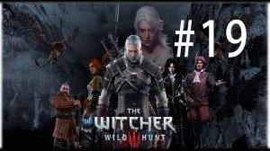 Ведьмак 3: Дикая Охота. 19 стрим по игре The Witcher 3: Wild Hunt