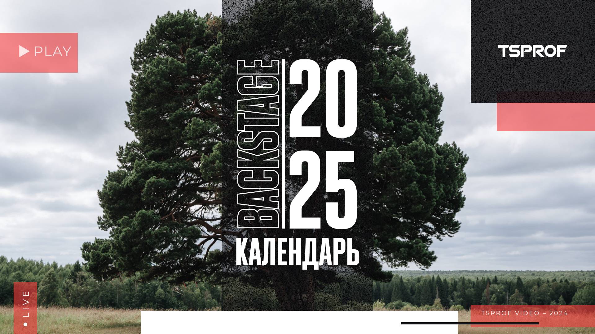 Бэкстейдж со съемок календаря TSPROF 2025 смотреть онлайн