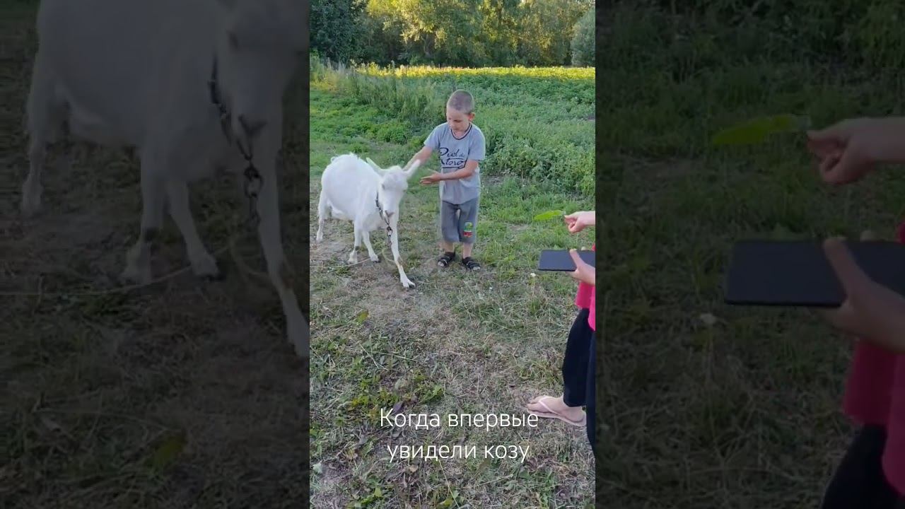 #children #comedy #юмор⬛Коза Дереза⬛#
