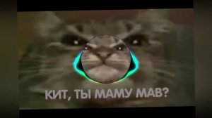 Кит ты маму мав? | PHONK REMIX |