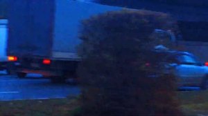 Экстренные Службы с сиренами и без сирен ⛑ (Ч 45)