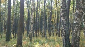 гора Рассыпная. Уральский Барс. первый этап. 3 вершины за 2 дня. часть первая.