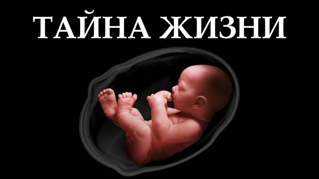 Как жизнь нарушает законы физики?