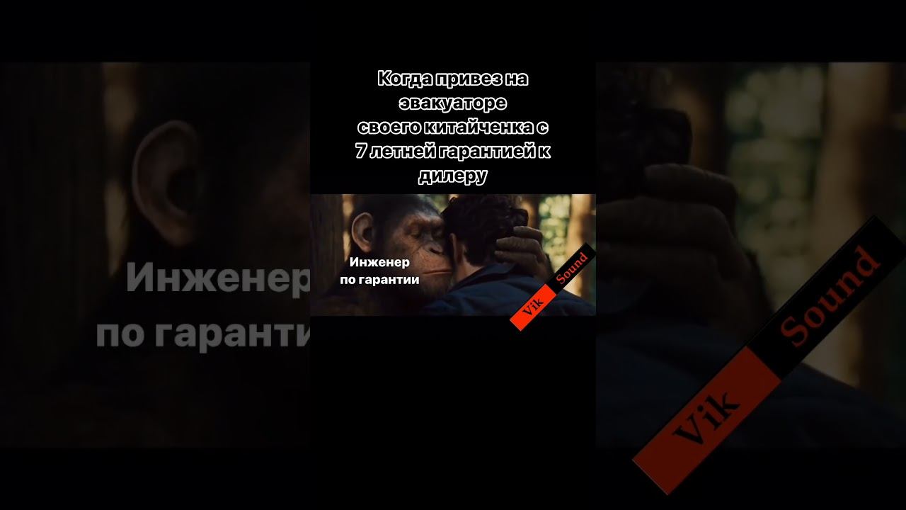 Гарантия на автомобиль #юмор #vik_sound #китайскийавто #гарантия #автомобили