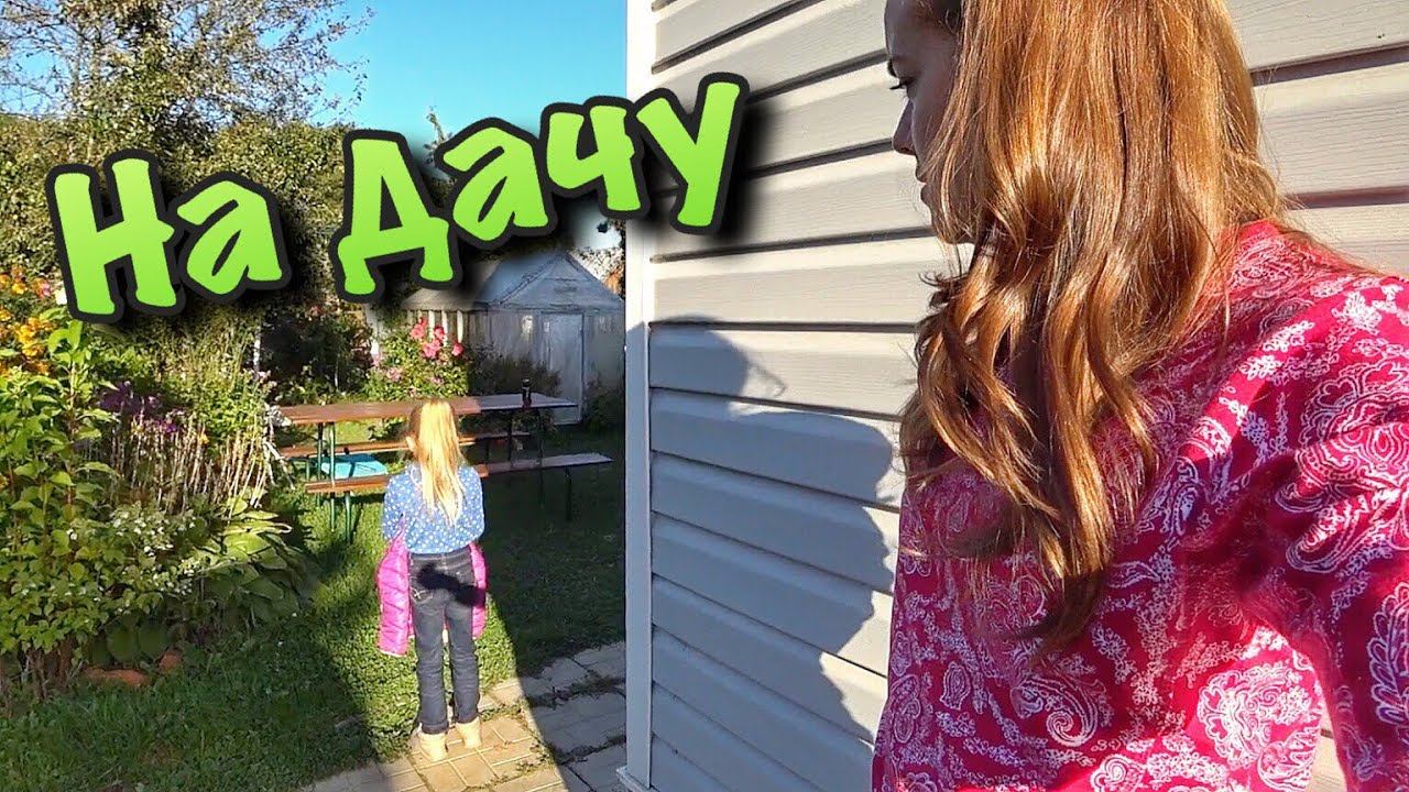 ВЛОГ Едем на дачу лечиться! 23.09.2017 смотреть онлайн