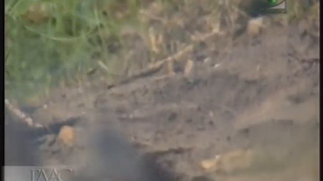 20_О посте. Серафим Саровский. смотреть онлайн