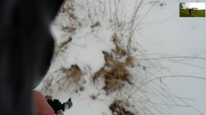 охота с пневматикой хатсан 125 зимой !hatsan 125 pneumatic duck hunting!air guns