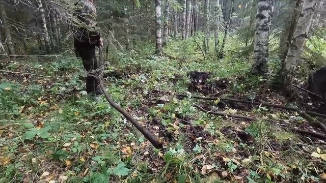 На избу упало ДЕРЕВО! Спасение прицепа из лесных болот. Металлокоп в лесу.