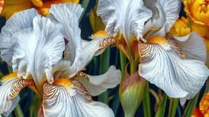 Моя история - Детские воспоминания о папе...