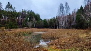 Купила участок, где будет новое нечто, очень душевное и ждущее гостей :)