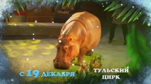 Новогоднее «Тропик шоу»