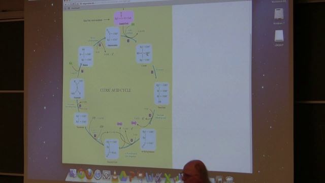Kevin Ahern's BB 350 (Citric Acid Cycle) 2014 - #30 смотреть онлайн