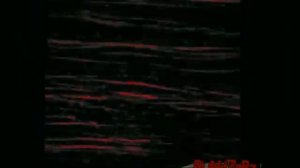 Manhunt 2 Wii Filter Recreation