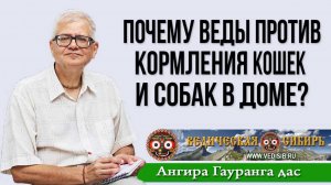 Почему Веды против кормления кошек и собак в доме?