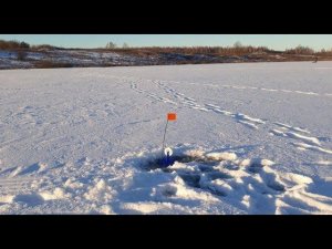 ЩУКА НА ЖЕРЛИЦЫ|ПРОДОЛЖЕНИЕ|ДЕКАБРЬ 2018