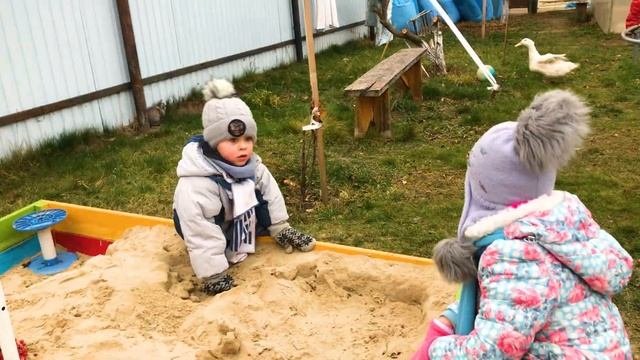 Дракон СИСУ и ДИКИЕ СКРИЧЕРЫ