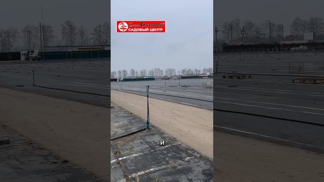 ОСМОТР УКЛАДКИ РАСТЕНИЙ