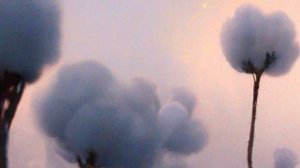 Душевные истории - Ловушка любви: скрытая боль...