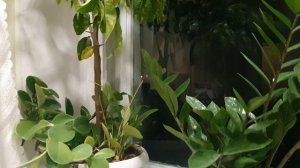 Песня про рушник